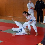 14_15_t003_jujitsu_2