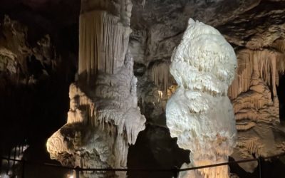 Ogled Postojnske jame in Predjamskega gradu