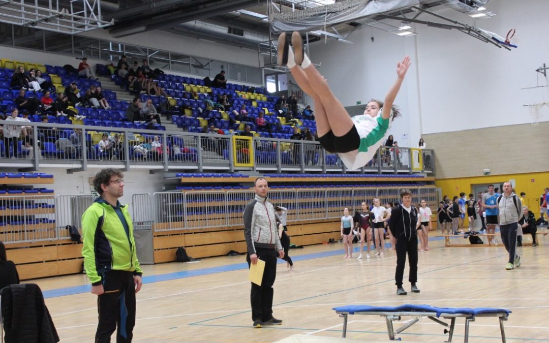 Državno tekmovanje v skokih na mali prožni ponjavi