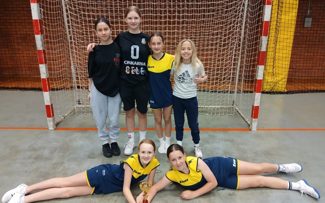 Področno predtekmovanje v nogometu za dekleta, 6. in 7. razred